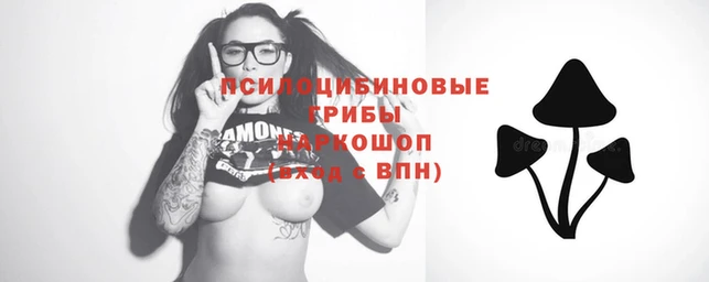 спайс Нея