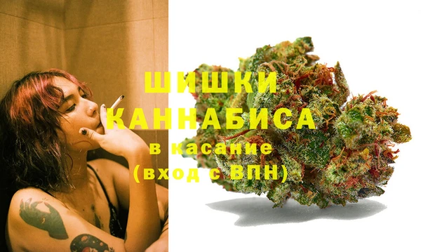 хмурый Нефтекумск