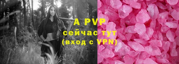 хмурый Нефтекумск
