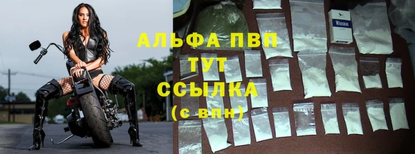 спайс Нея