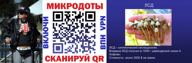 где можно купить наркотик Катав-Ивановск даркнет Telegram Галлюциногенные грибы GOLDEN TEACHER